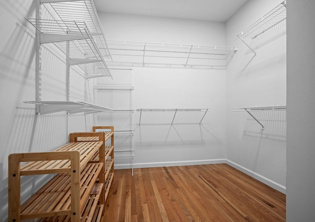1204 Corlew Dr, Burns, TN 37029 - spacious closet with wood finished floors