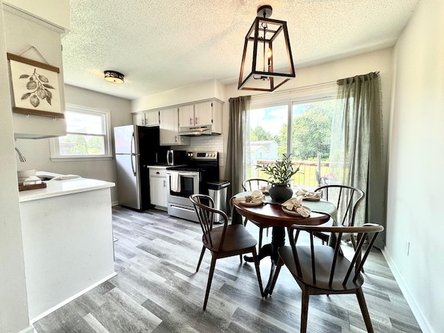 3409 Dutton Ct, Murfreesboro, TN 37130 - dining room featuring light wood finished floors and a textured ceiling