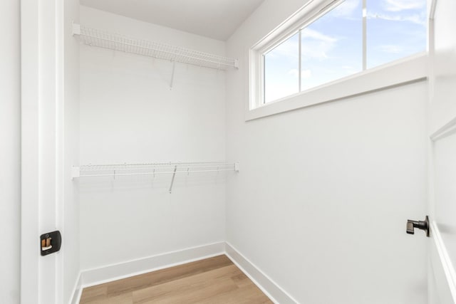 11 Dutch Dr, Clarksville, TN 37043 - spacious closet with light wood-type flooring