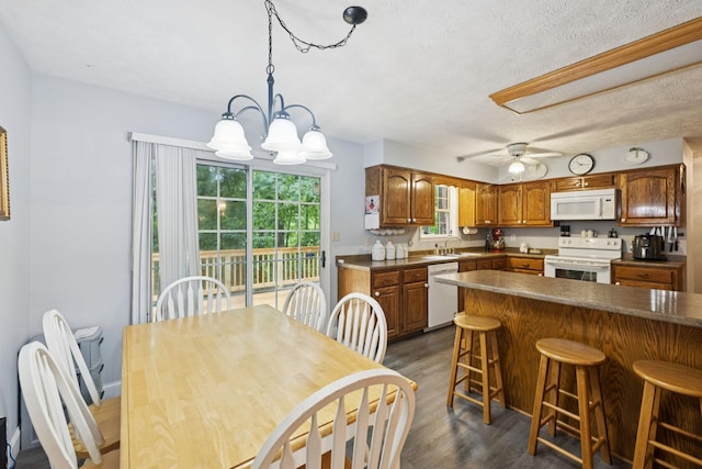 219 Lakeview Dr, Hohenwald, TN 38462 - dining room featuring dark wood-style floors, a chandelier, a ceiling fan, and a textured ceiling