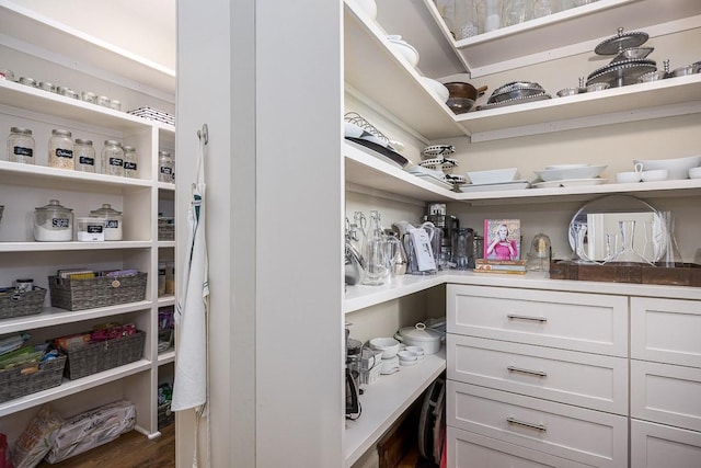 7216 Wildings Blvd, College Grove, TN 37046 - view of pantry