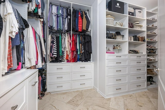 7216 Wildings Blvd, College Grove, TN 37046 - walk in closet with light stone finish flooring