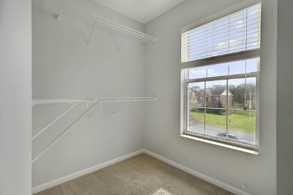 848 Loretta Dr, Goodlettsville, TN 37072 - photo 47
