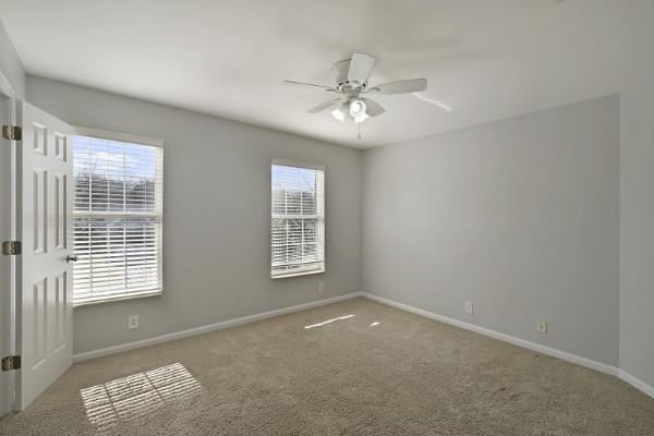 848 Loretta Dr, Goodlettsville, TN 37072 - photo 29