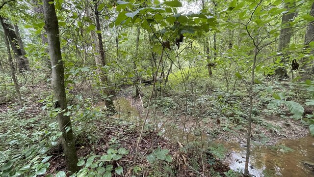 0 Hurricane Rd, Tullahoma, TN 37388 - photo 6