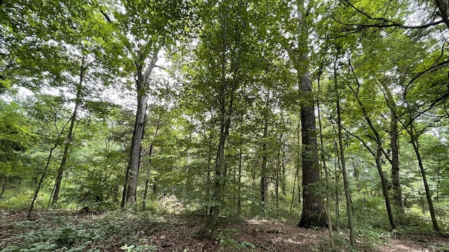 0 Hurricane Rd, Tullahoma, TN 37388 - photo 4