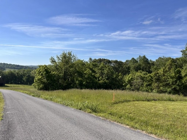 856 Davenport Rd, Cumberland City, TN 37050 - view of asphalt street featuring a wooded view