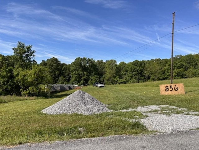 856 Davenport Rd, Cumberland City, TN 37050 - view of road