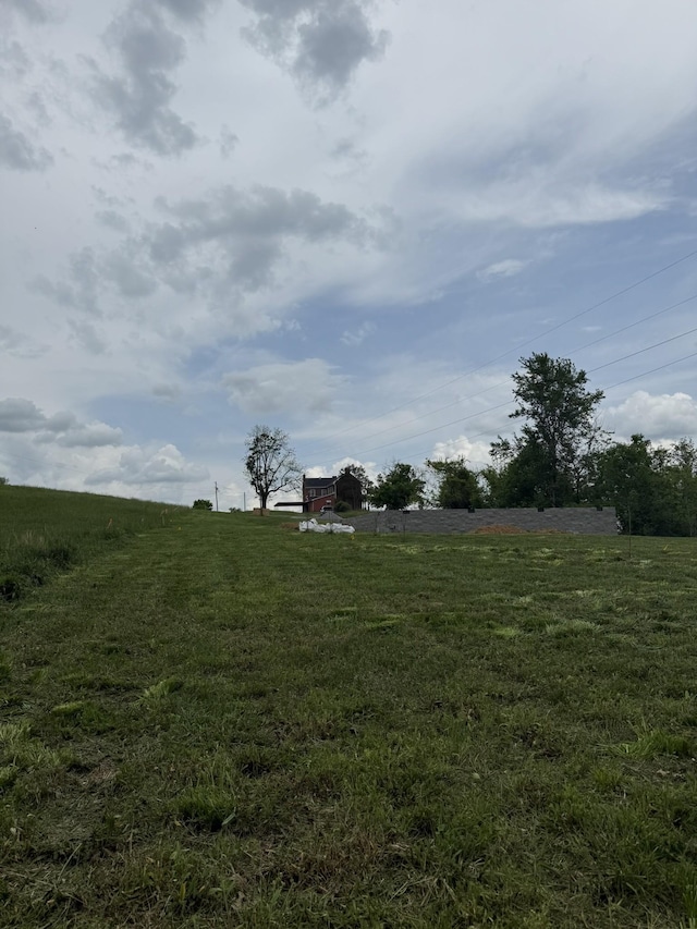 856 Davenport Rd, Cumberland City, TN 37050 - view of green lawn with a view of rural / pastoral area