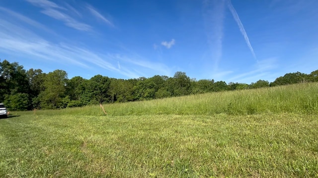 856 Davenport Rd, Cumberland City, TN 37050 - view of wooded area