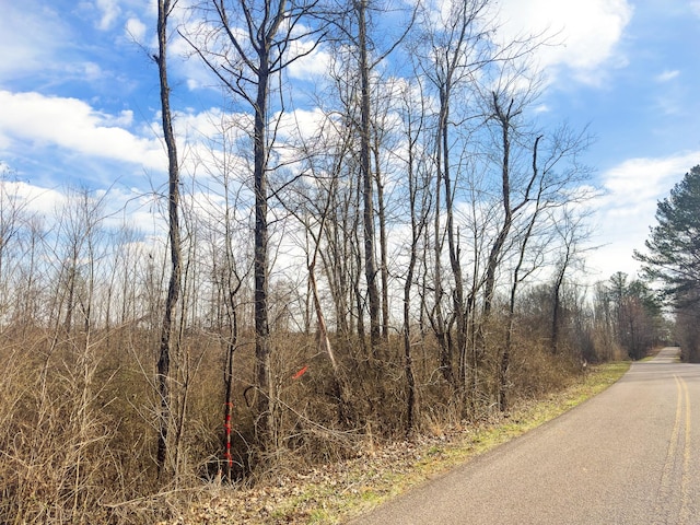 0 Damon Rd, Michie, TN 38357