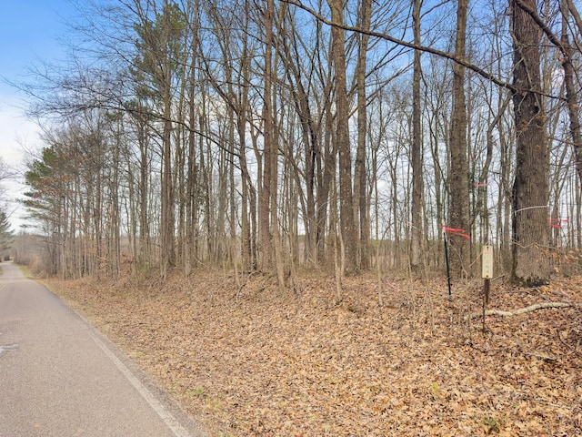 0 Damon Rd, Michie, TN 38357