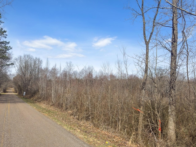0 Damon Rd, Michie, TN 38357