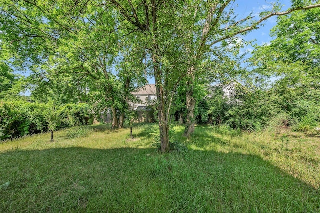 1117 38th Ave N Unit B, Nashville, TN 37209 - view of yard