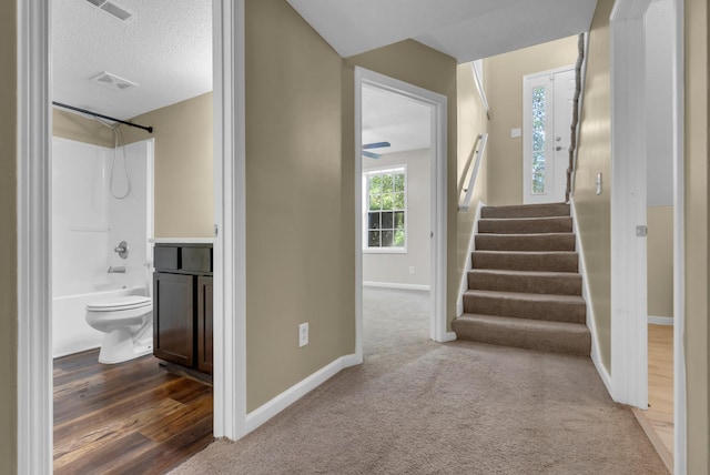 923 Hedge Apple Dr, Clarksville, TN 37040 - photo 33
