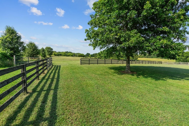3406 Parks Ln, Spring Hill, TN 37174 - view of yard featuring a rural view