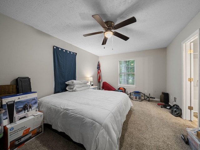 205 Windy Park Dr, Mc Ewen, TN 37101 - photo 12