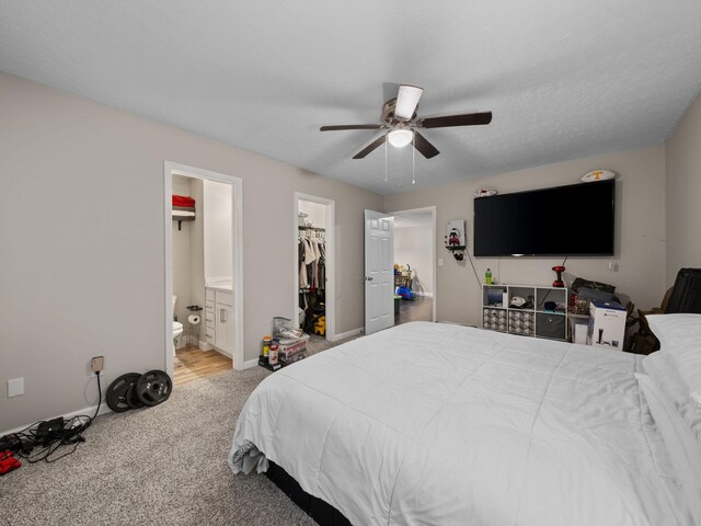 205 Windy Park Dr, Mc Ewen, TN 37101 - photo 13