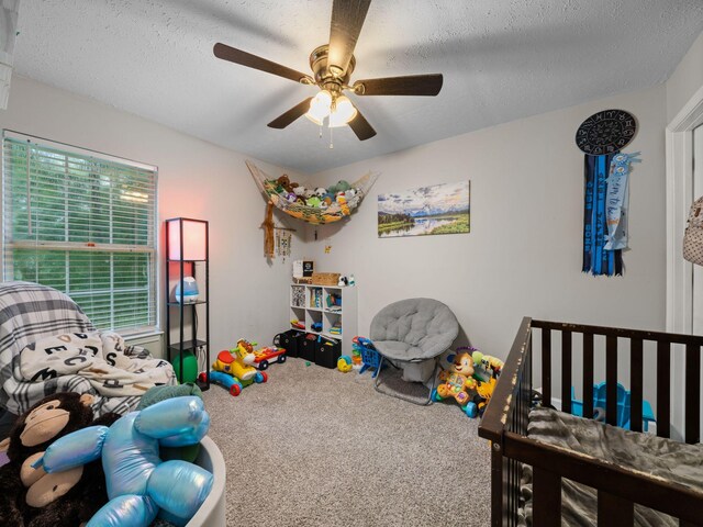 205 Windy Park Dr, Mc Ewen, TN 37101 - photo 19