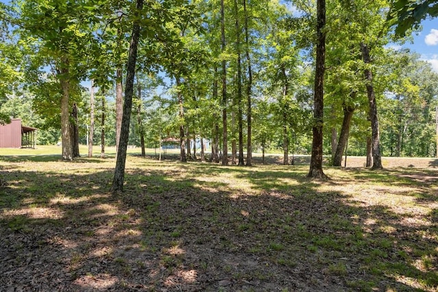 15578 Birdsong Rd, Holladay, TN 38341 - view of yard
