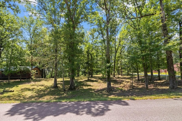 15578 Birdsong Rd, Holladay, TN 38341 - view of yard