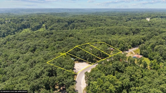 15578 Birdsong Rd, Holladay, TN 38341 - aerial overview of property's location with a forest and property parcel outlined