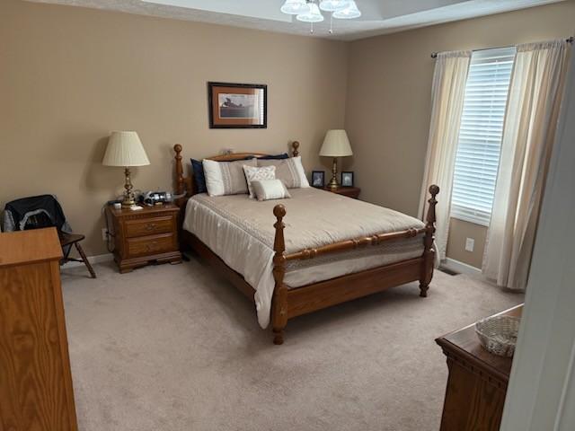 203 Central Ave, Chapel Hill, TN 37034 - photo 17