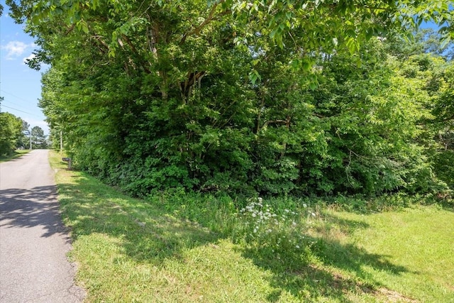 0 Hunley Branch Rd, Charlotte, TN 37036 - photo 5