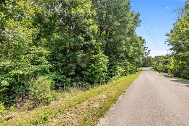 0 Hunley Branch Rd, Charlotte, TN 37036 - photo 3