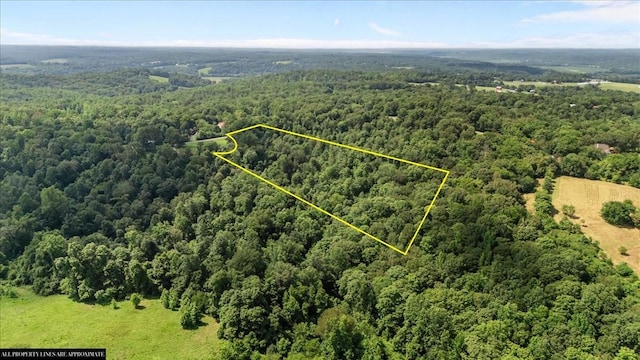 0 Hunley Branch Rd, Charlotte, TN 37036 - photo 14