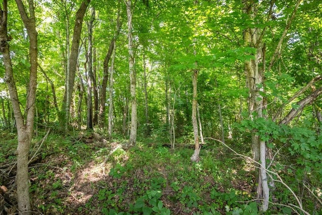 0 Hunley Branch Rd, Charlotte, TN 37036 - photo 2