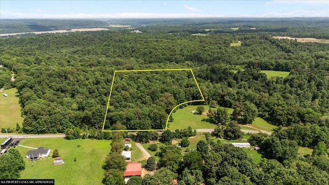 0 Hunley Branch Rd, Charlotte, TN 37036 - photo 9