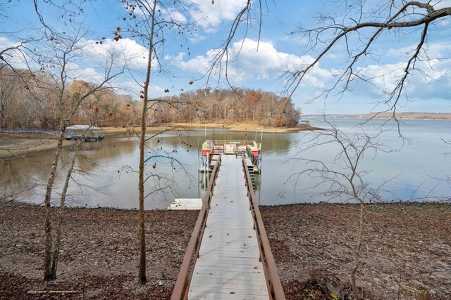 95 Birch Bark Ln, Big Sandy, TN 38221 - photo 66