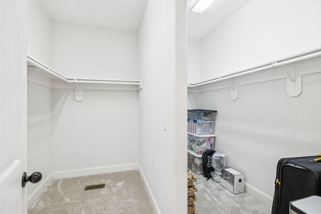 1361 Neil Rd, Chapel Hill, TN 37034 - spacious closet with carpet floors