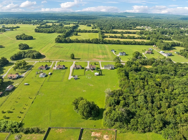 1361 Neil Rd, Chapel Hill, TN 37034 - overview of rural landscape