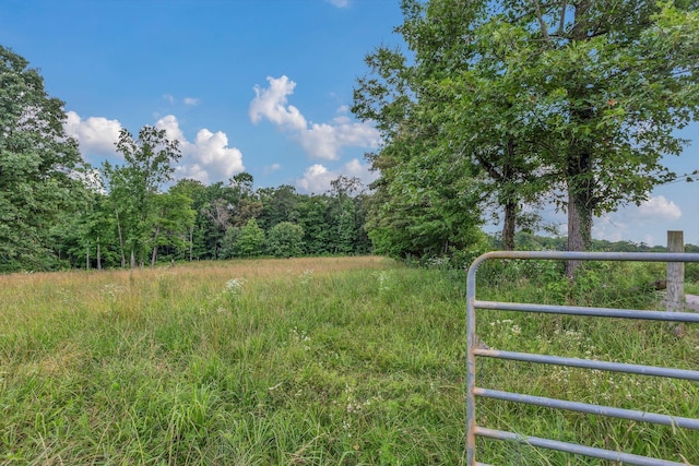 5347 Shady Grove Rd, Morrison, TN 37357 - view of yard featuring a wooded view