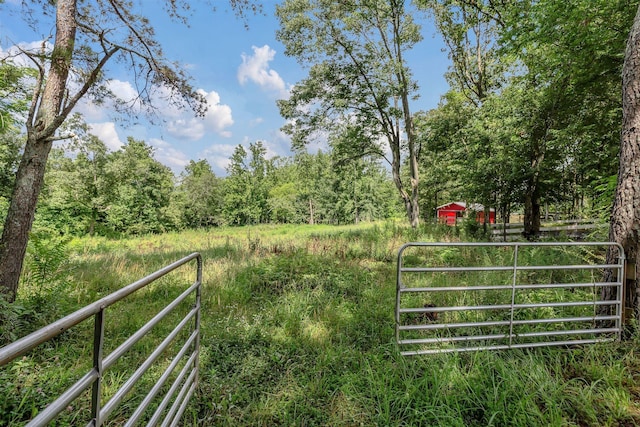5347 Shady Grove Rd, Morrison, TN 37357 - view of yard with a wooded view
