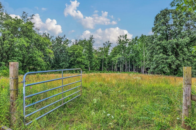 5347 Shady Grove Rd, Morrison, TN 37357 - gate with a view of trees