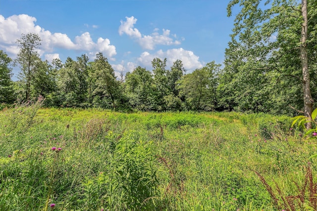 5347 Shady Grove Rd, Morrison, TN 37357 - view of wooded area