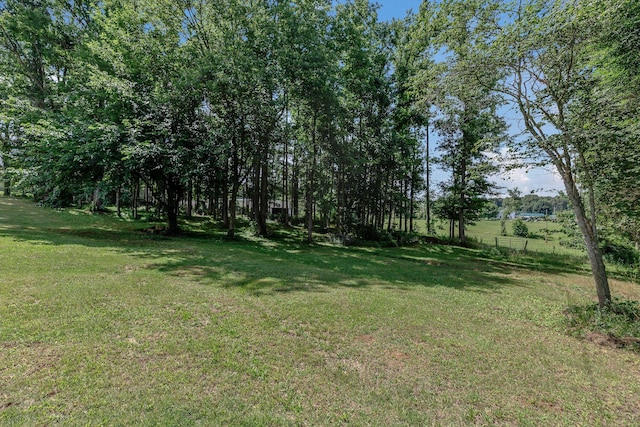 5347 Shady Grove Rd, Morrison, TN 37357 - view of grassy yard