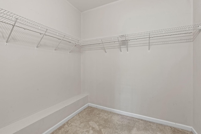 4061 Locerbie Cir, Spring Hill, TN 37174 - spacious closet featuring light colored carpet