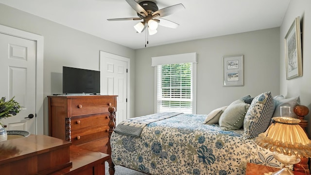 3011 Regency Park Dr, Murfreesboro, TN 37129 - photo 29