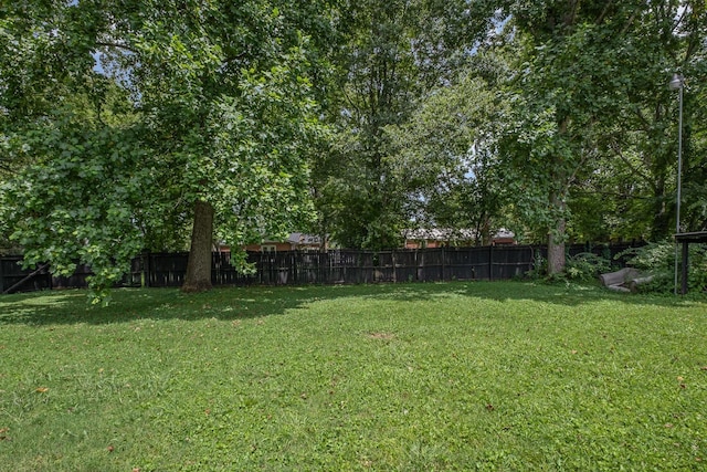 1811 Meadowgreen Dr, Murfreesboro, TN 37130 - photo 25