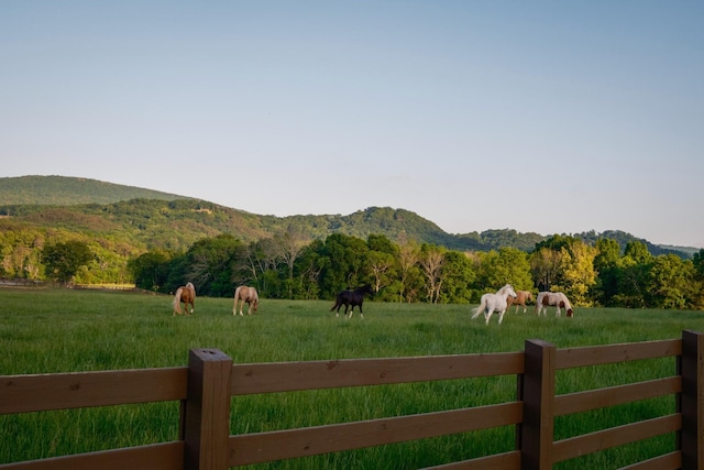 6971 W Cove Rd, Chickamauga, GA 30707 - view of mountain background featuring agricultural land and rural landscape