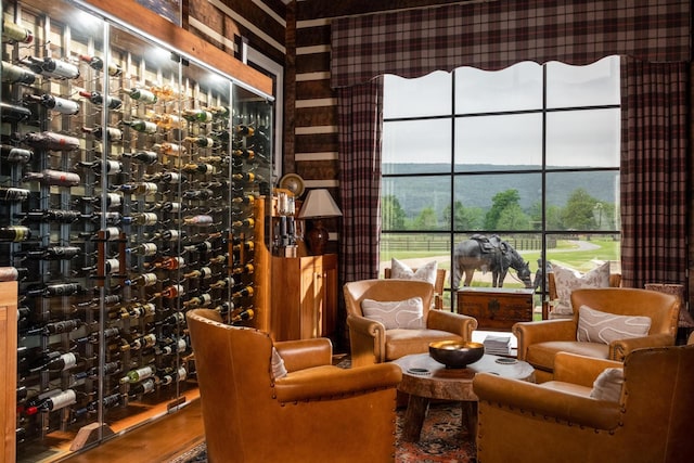 6971 W Cove Rd, Chickamauga, GA 30707 - wine cellar with wood finished floors