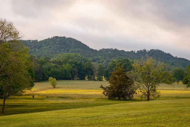6971 W Cove Rd, Chickamauga, GA 30707 - mountain view