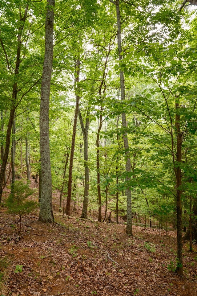 6971 W Cove Rd, Chickamauga, GA 30707 - view of tree filled area