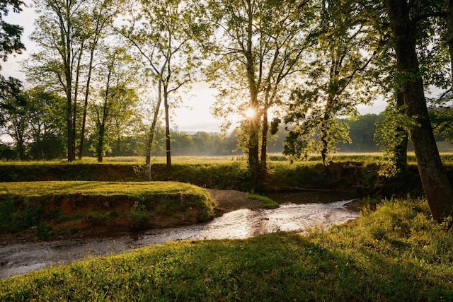 6971 W Cove Rd, Chickamauga, GA 30707 - view of property's community