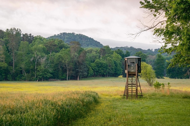 6971 W Cove Rd, Chickamauga, GA 30707 - view of mountain backdrop featuring a forest