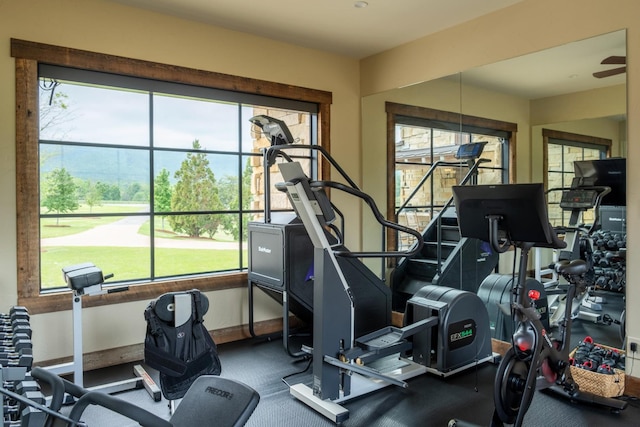 6971 W Cove Rd, Chickamauga, GA 30707 - exercise room with plenty of natural light